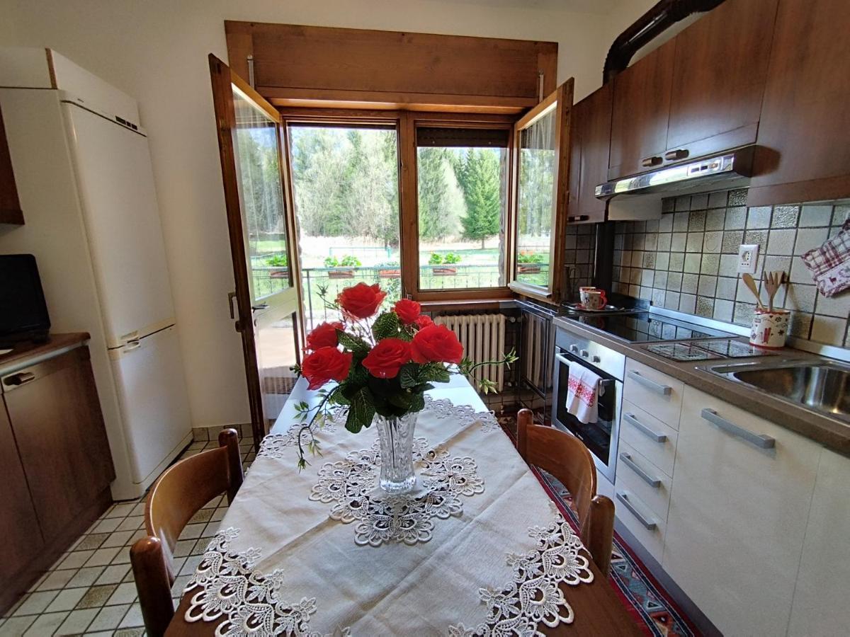 Apartment Salagona *